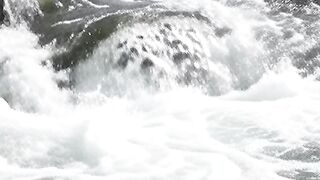 Mountain River Flowing Through Pure Wilderness