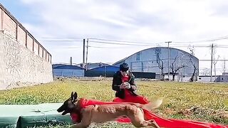 #dogtelent #doglover #mahendarfam