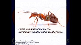 I wish you noticed me more, i'm just an little ant [Quotes and Poems].