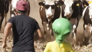 # vacas