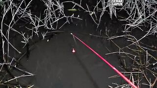 Fishing in a puddle and getting catfish