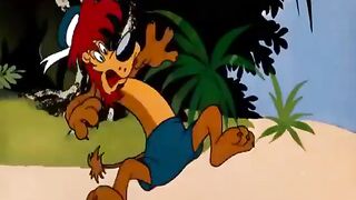 Eagle vs lion || Best classic cartoon