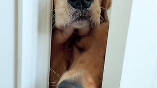 What can i do????