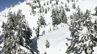Snowy slope and pine tree cover in Canada