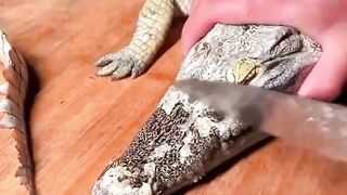 Crocodile fried recipe