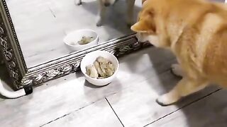Funny