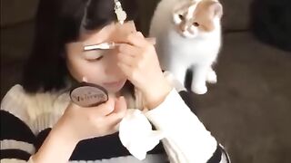 Funny videos from TikTok