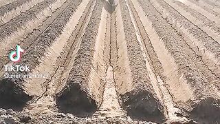 Fun vedeo