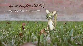 Juliet by Cavetown (Official Audio) _ Animal KingdomJuliet by Cavetown (Official Audio) _ Animal Kingdom