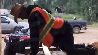 Удачные съёмки