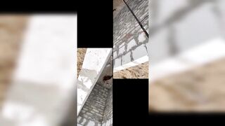 Funny animals cool moments of top tick current and youtube 2023