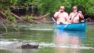 Remote Controlled Alligator Prank Just For Laughs
