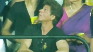 IPL cricket sports amazing shot