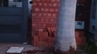 Potao estalado 🫡🫡