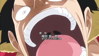 One Piece 14