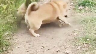 CONFUSÃO NA VILA CLEITINHO FUBÁ X VITINHO SARDINHA.
