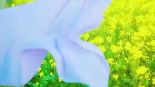 Beautiful Song 259