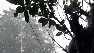 A Rainy Day ❤️