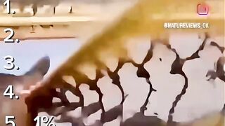 jara jara funny video United States America 40