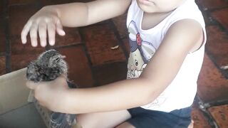 Gabi e seu passarinho