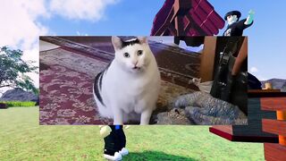 Boy vs cat part 2