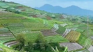 The natural charm of rice fields and mountains