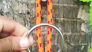 The loop on the ring