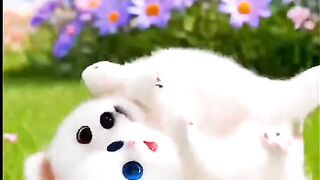 Cartoon video so cute