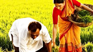 Gaon mein chawal lagate hue viral vilog video 🌾🌾