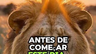 Reflexão do dia