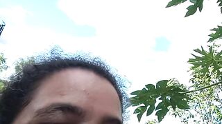Folha de mamão