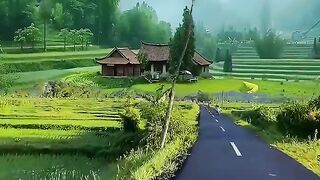 Peaceful place 4
