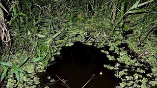 Fishing at night, caught a catfish