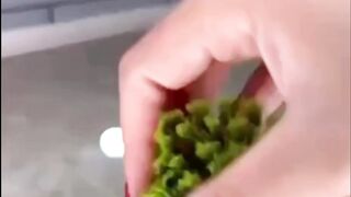 Escova de pia