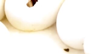 Smuggled Parrot Eggs Hatch After Arrest