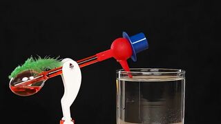 How Does the Drinking Bird Work_