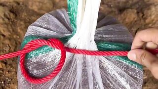 Amazing DIY Survival Trap Using Natural Materials