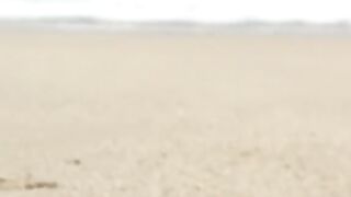 Sea Snail Crawling on Sandy Beach with Ocean Waves in Background 4K Vertical