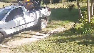 No sitio