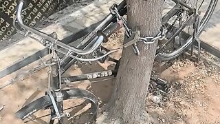 Cycle funny