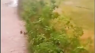Thjikhy
