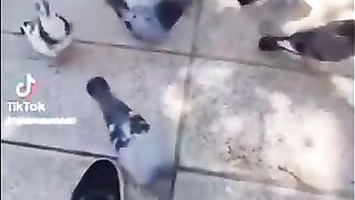 Ggjjgj