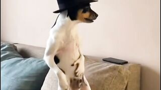 Quando quero dançar kkkk.,......