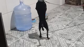 #fofura