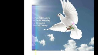 Sunday: Day to seek God, family lunch and go to beach! [Message] [Quotes and Poems]