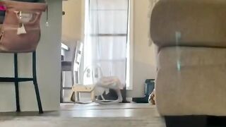 Filho sob os cuidados de um pai.