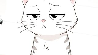 Cat the whisker