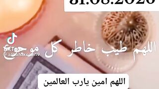 Last Day of August 2026