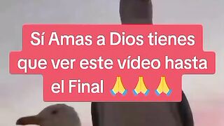 Si amas a Dios tienes que ver este video