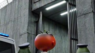 Tomate EP-2